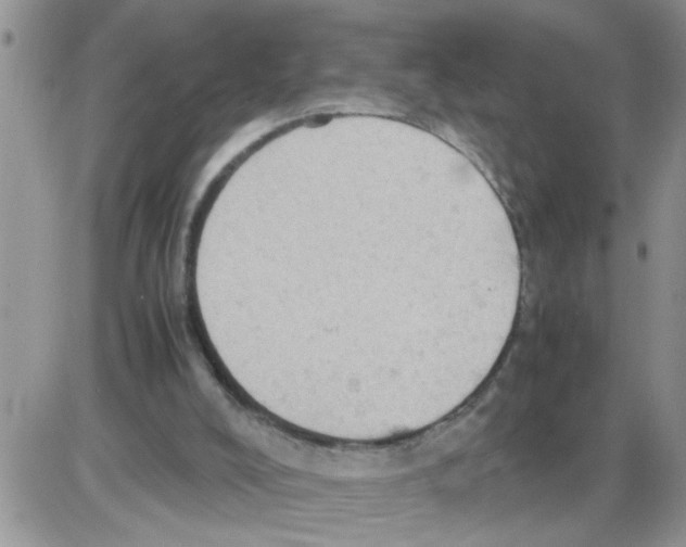 X0000086030008200704201957