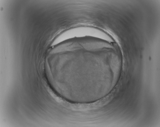 X0000086030009200704201957