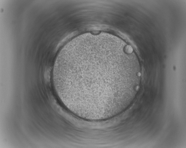 X0000086030010200704201957