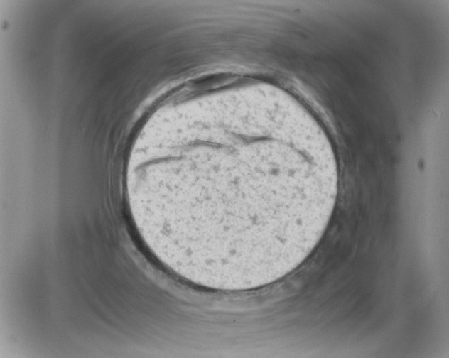 X0000086030011200704201957