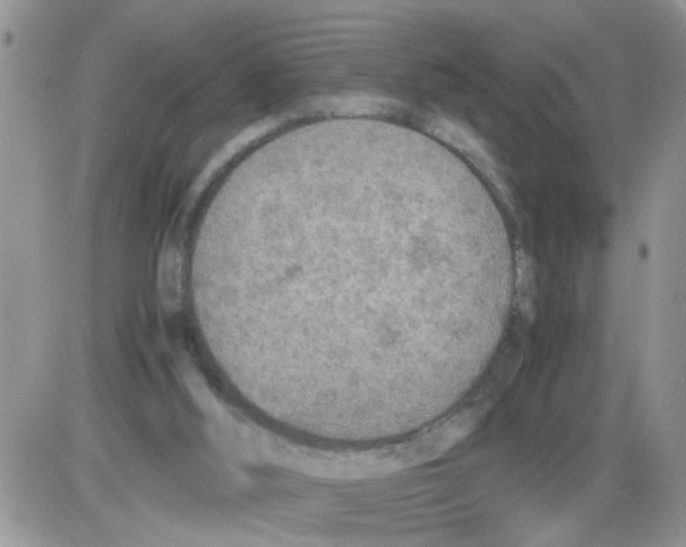 X0000086030012200704201957