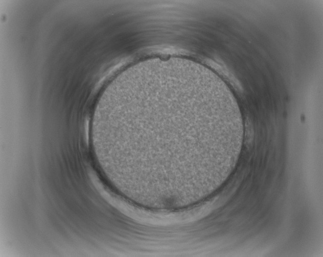 X0000086030014200704201957