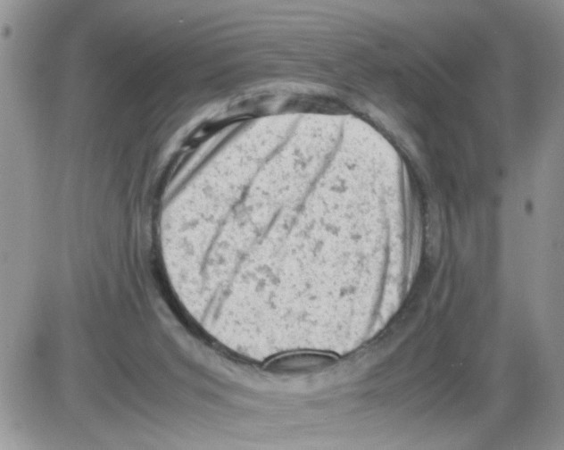 X0000086030015200704201957