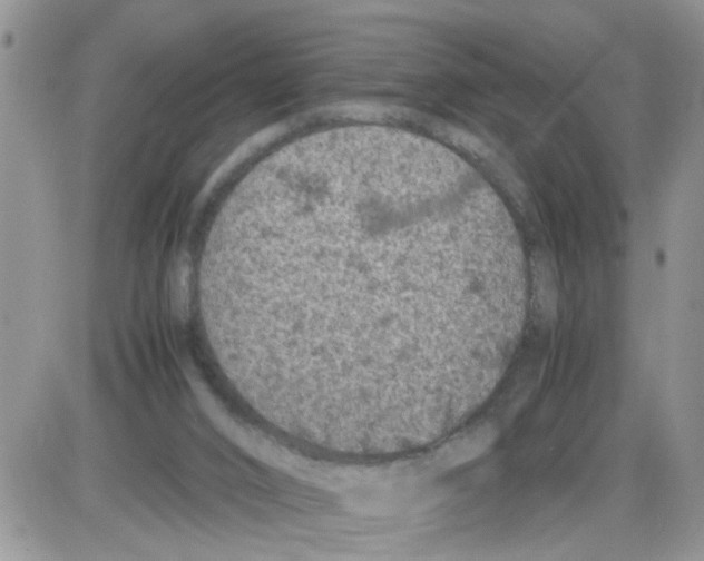 X0000086030016200704201957