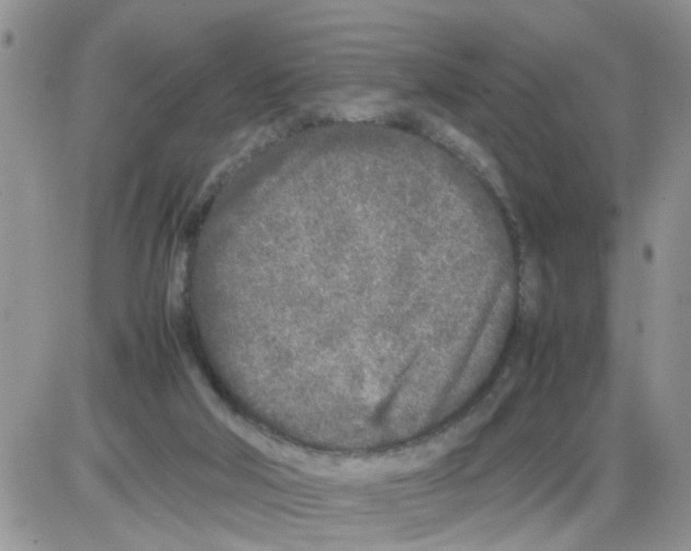 X0000086030018200704201957