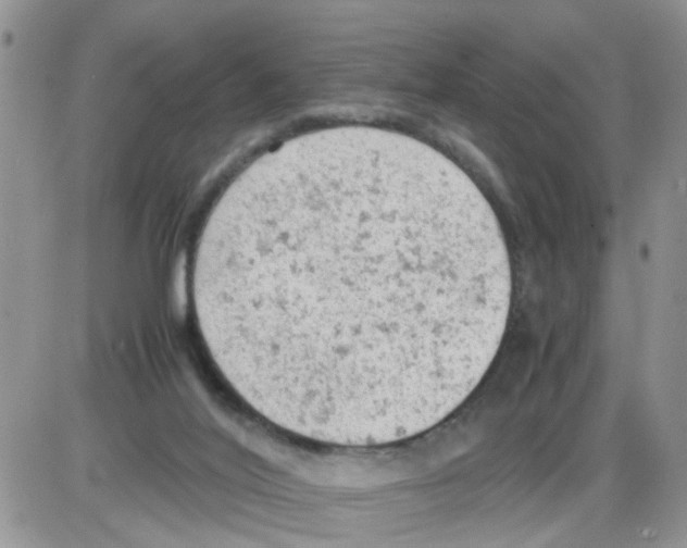 X0000086030020200704201957