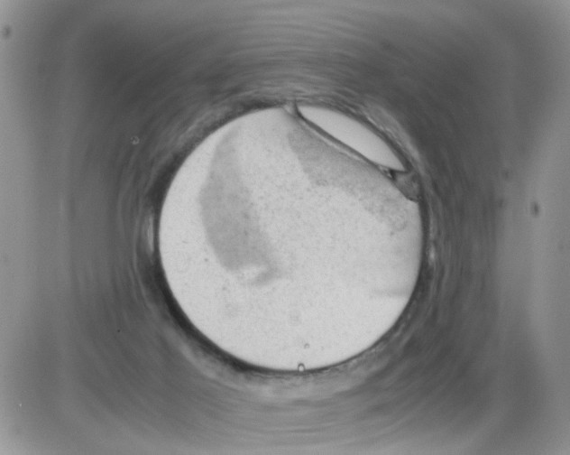 X0000086030021200704201957