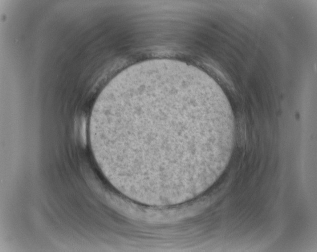 X0000086030022200704201957