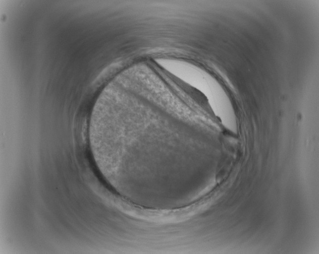 X0000086030023200704201957