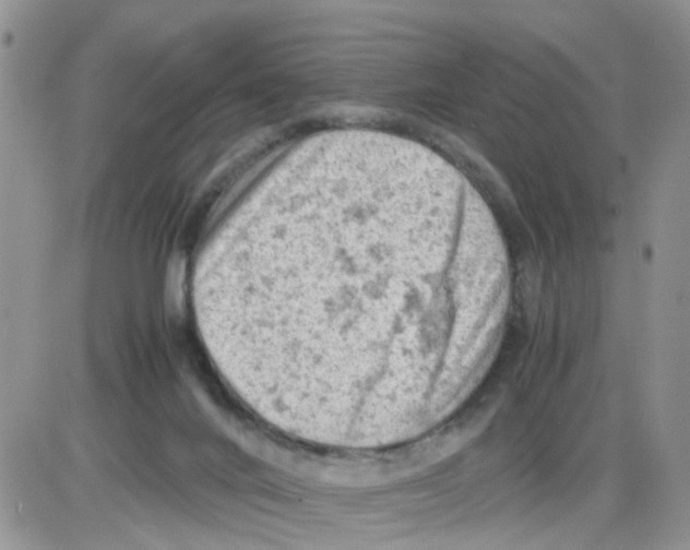 X0000086030024200704201957