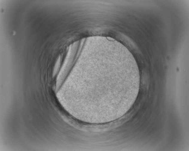 X0000086030025200704201957