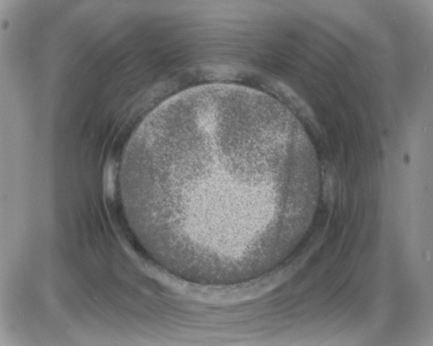 X0000086030026200704201957