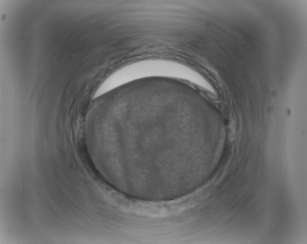 X0000086030029200704201957