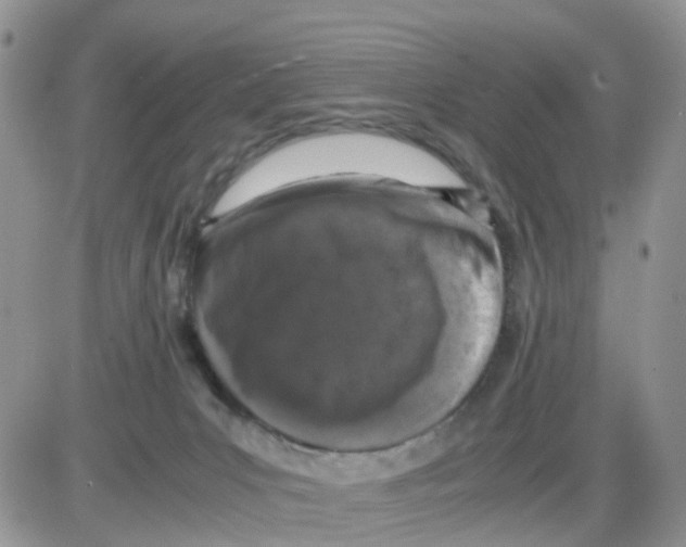 X0000086030031200704201957