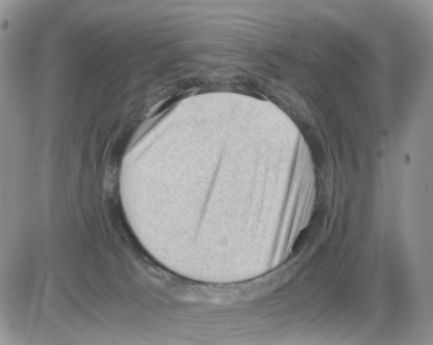 X0000086030033200704201957