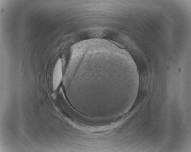 X0000086030035200704201957