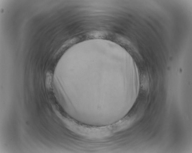 X0000086030036200704201957