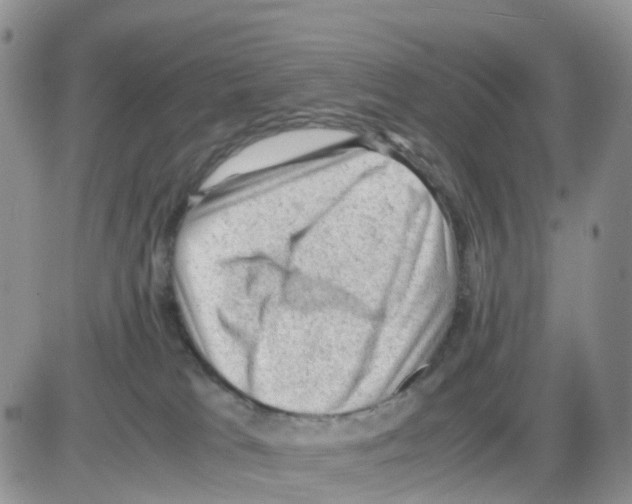 X0000086030037200704201957