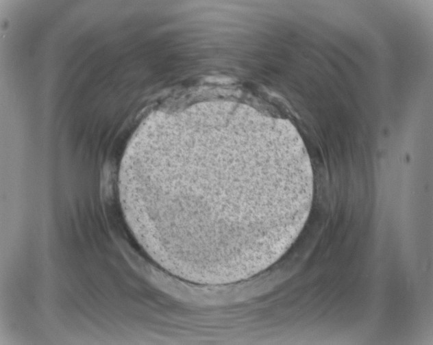 X0000086030038200704201957