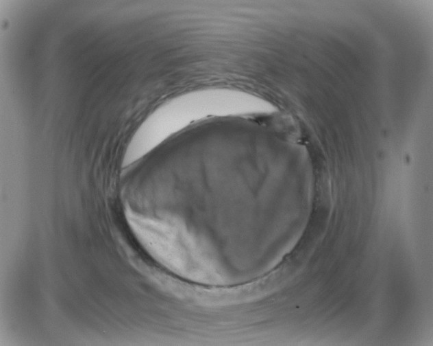 X0000086030039200704201957