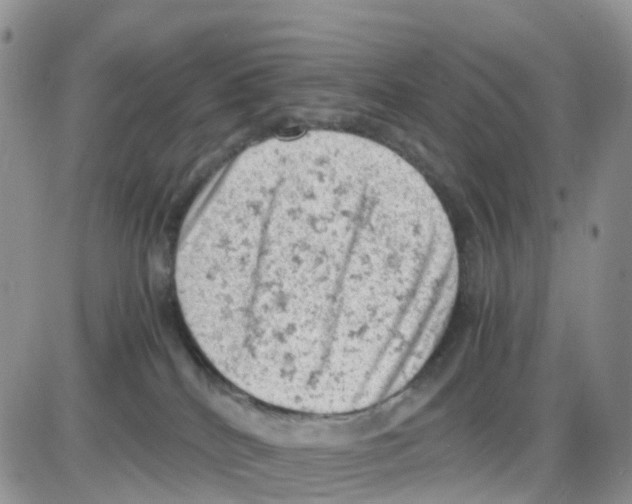 X0000086030040200704201957