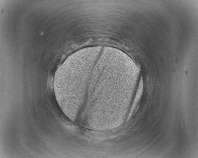 X0000086030041200704201957