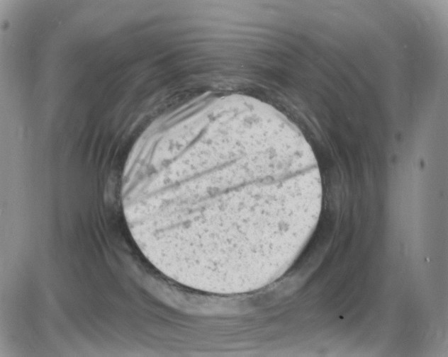 X0000086030044200704201957