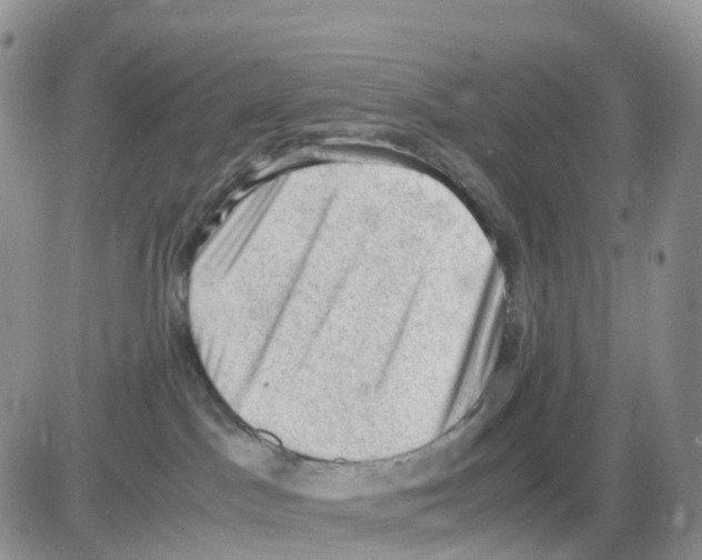 X0000086030045200704201957