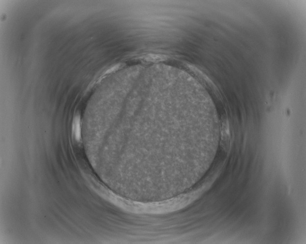 X0000086030046200704201957