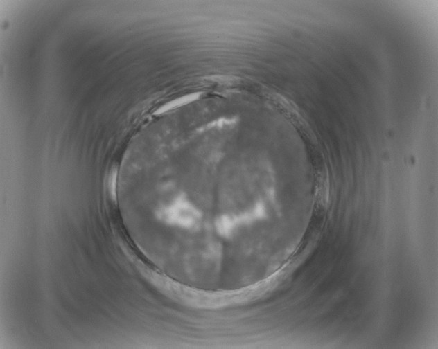 X0000086030047200704201957