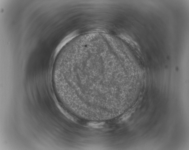 X0000086030051200704201956