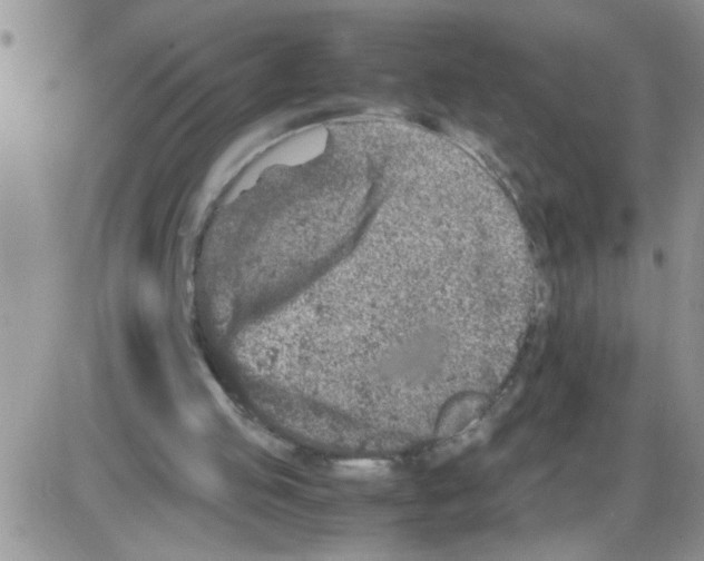 X0000086030053200704201956