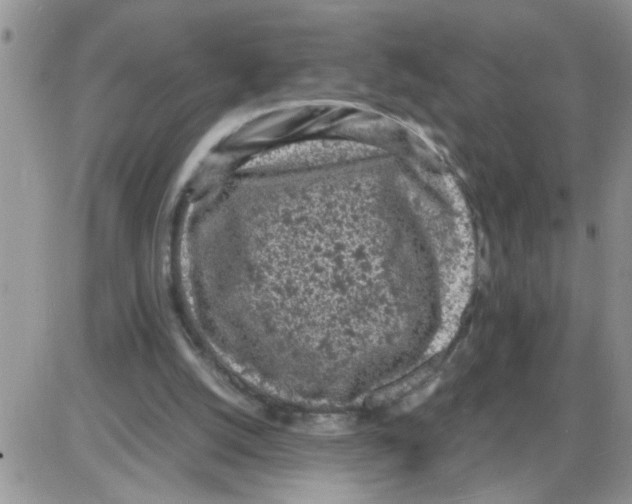 X0000086030056200704201956