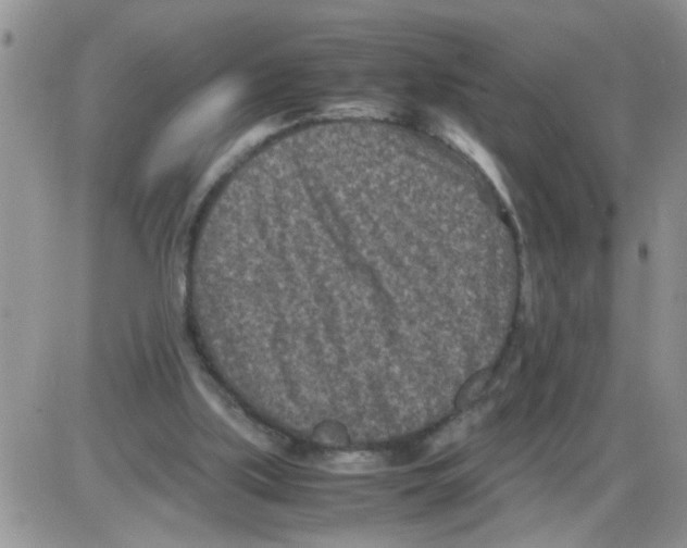 X0000086030059200704201956