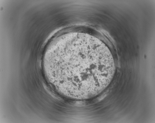 X0000086030060200704201956