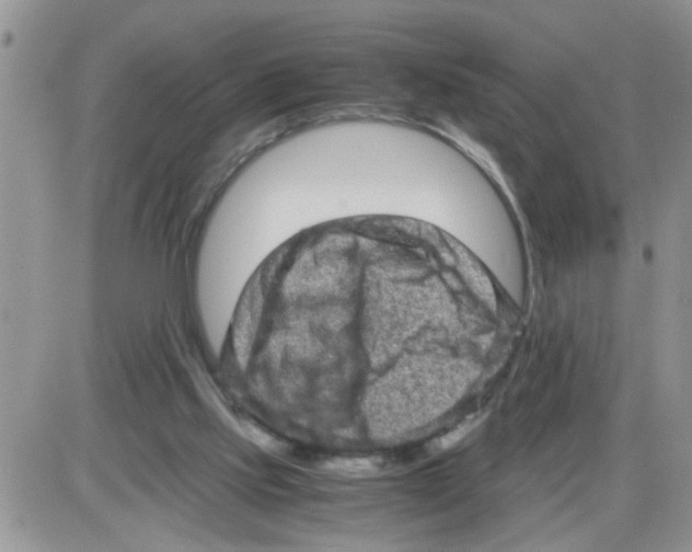 X0000086030061200704201956