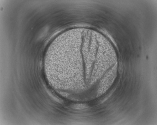 X0000086030063200704201956