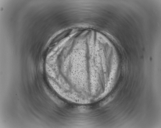 X0000086030064200704201956