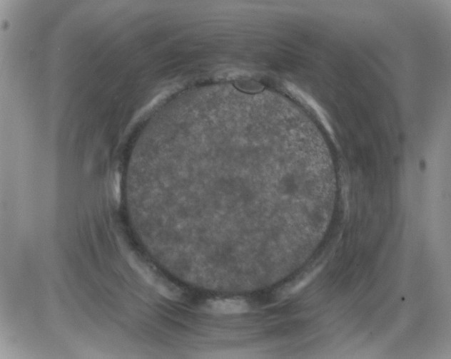 X0000086030067200704201956