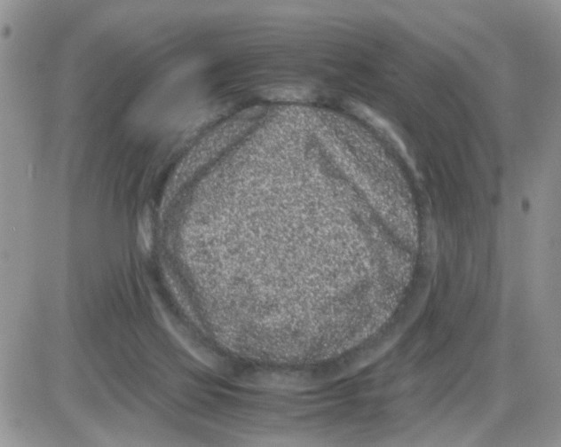 X0000086030069200704201956