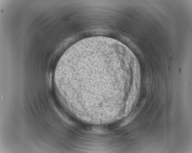 X0000086030070200704201956