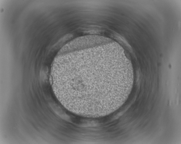 X0000086030073200704201956