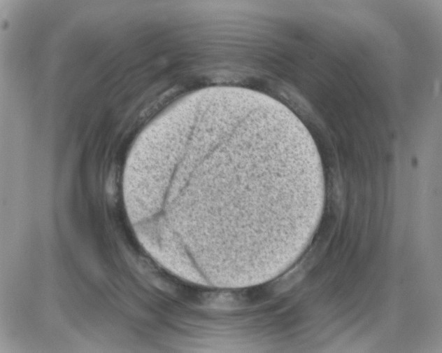 X0000086030074200704201956