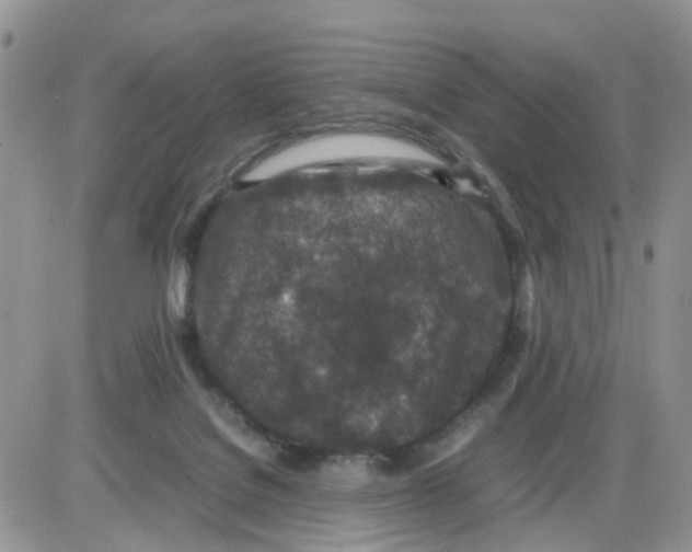 X0000086030076200704201956