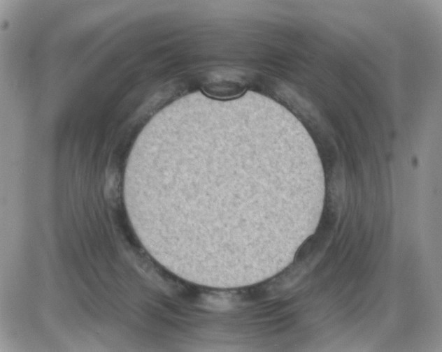 X0000086030079200704201957