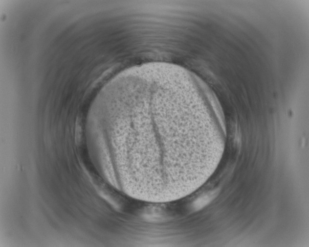 X0000086030080200704201957