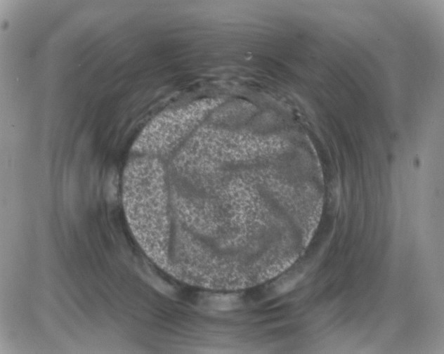 X0000086030081200704201957