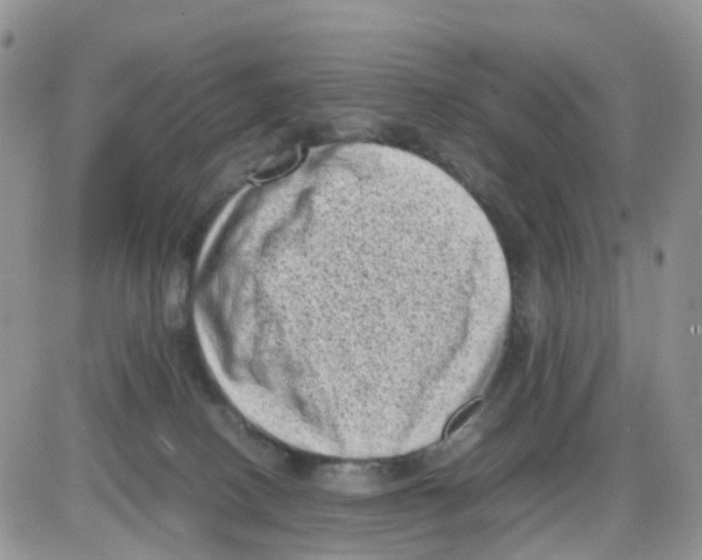 X0000086030082200704201957