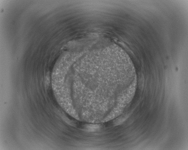 X0000086030085200704201957