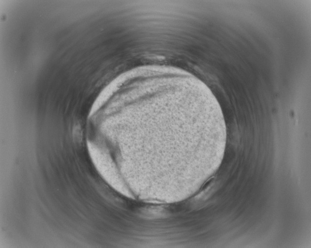 X0000086030086200704201957